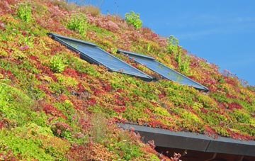 Nedderton living roof systems