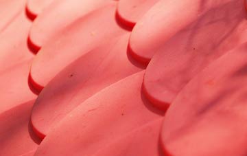 Nedderton plastic roof costs